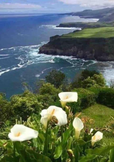 Casa Cassanelli By The Ocean Villa Ribeira Grande Dış mekan fotoğraf